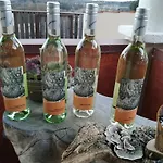 Urlaub Am Weinhof Ramminger