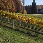 Urlaub Am Weinhof Ramminger Gleisdorf