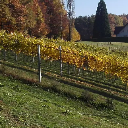 Urlaub Am Weinhof Ramminger 格莱斯多夫