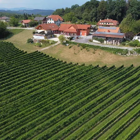 Urlaub Am Weinhof Ramminger شقة Sinabelkirchen
