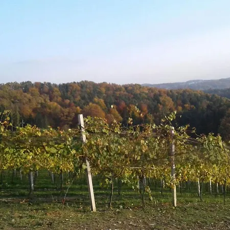 Urlaub Am Weinhof Ramminger