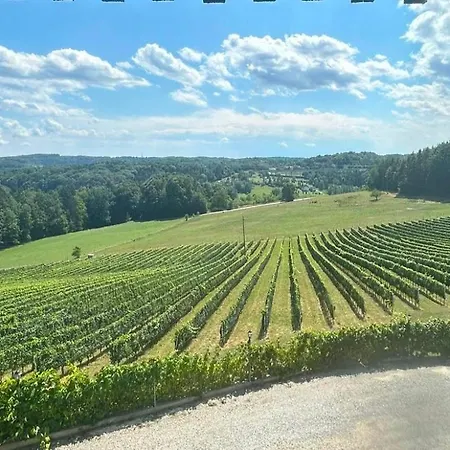 Urlaub Am Weinhof Ramminger *