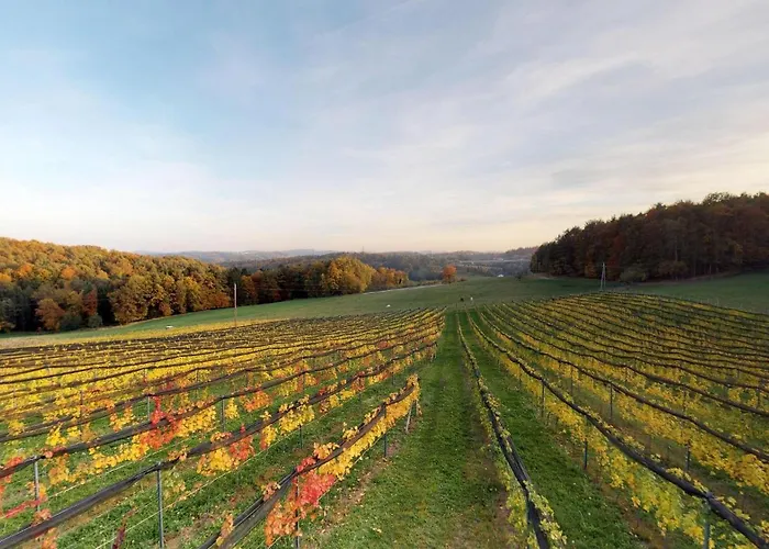 公寓 Urlaub Am Weinhof Ramminger