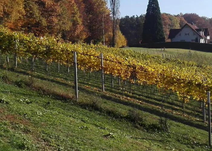 Urlaub Am Weinhof Ramminger 格莱斯多夫