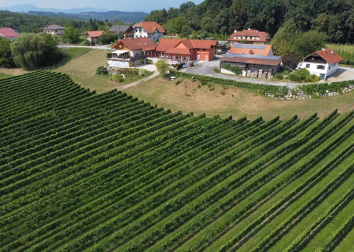 Urlaub Am Weinhof Ramminger Apartment Sinabelkirchen